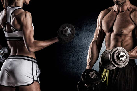 Build Muscle